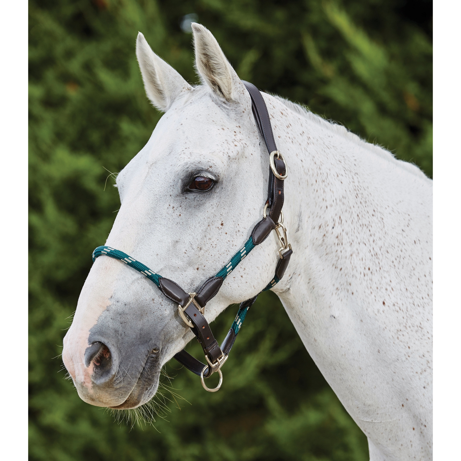 Hunter Green/Brown Collar de cuerda de cuero Kincade