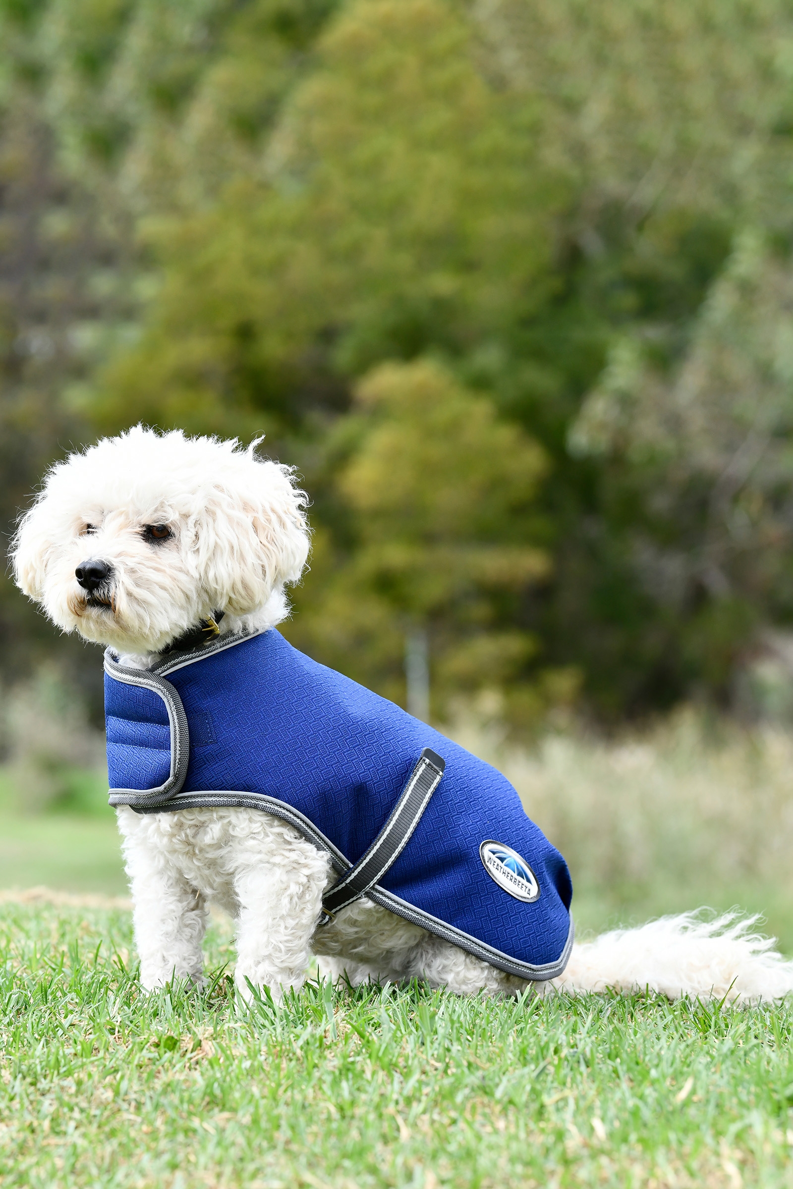 Abrigo para Perro Parka Libre Medio Weatherbeeta Comfitec Premier, 220g