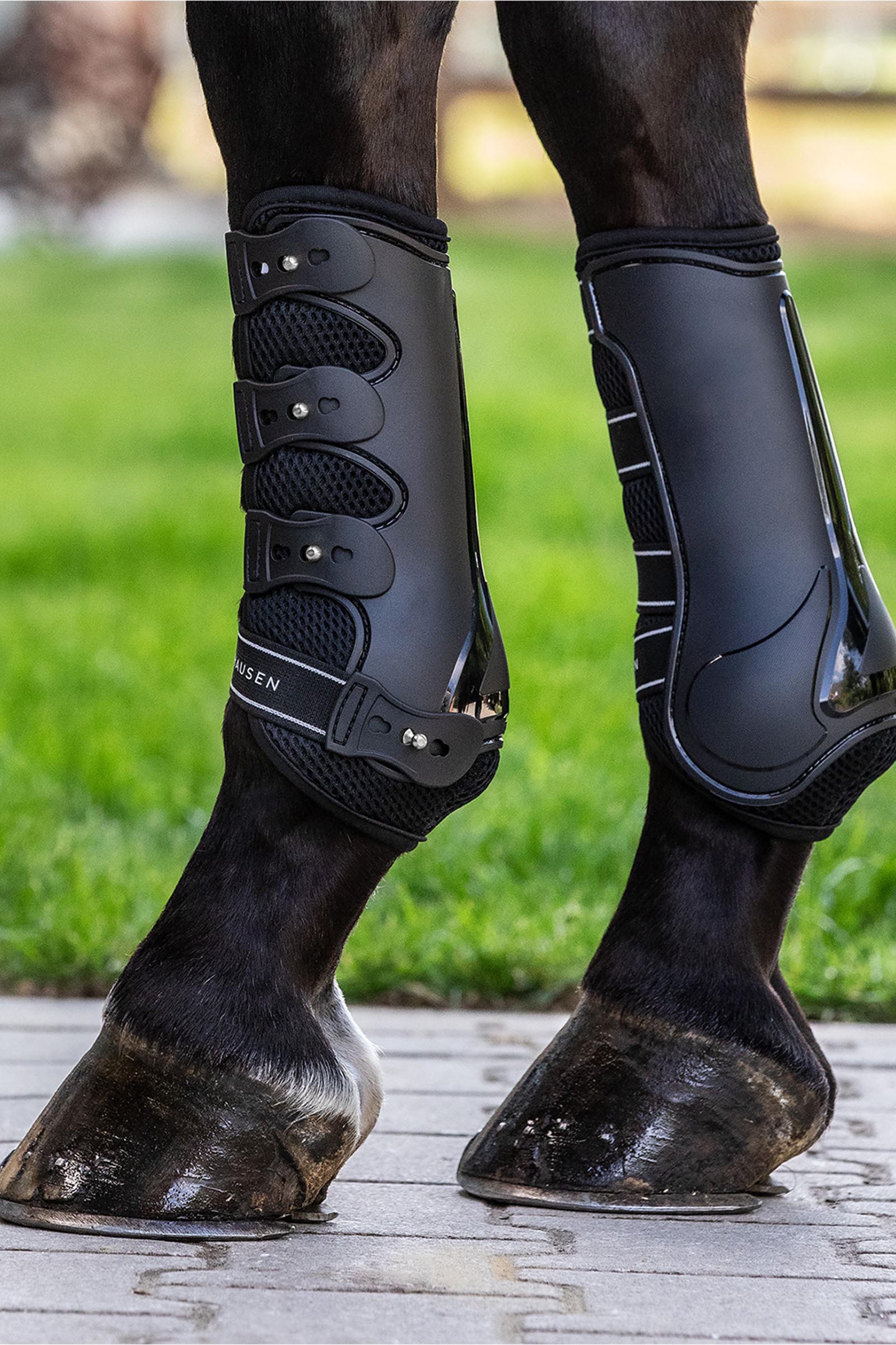 Waldhausen Breath protectores tendon (par)