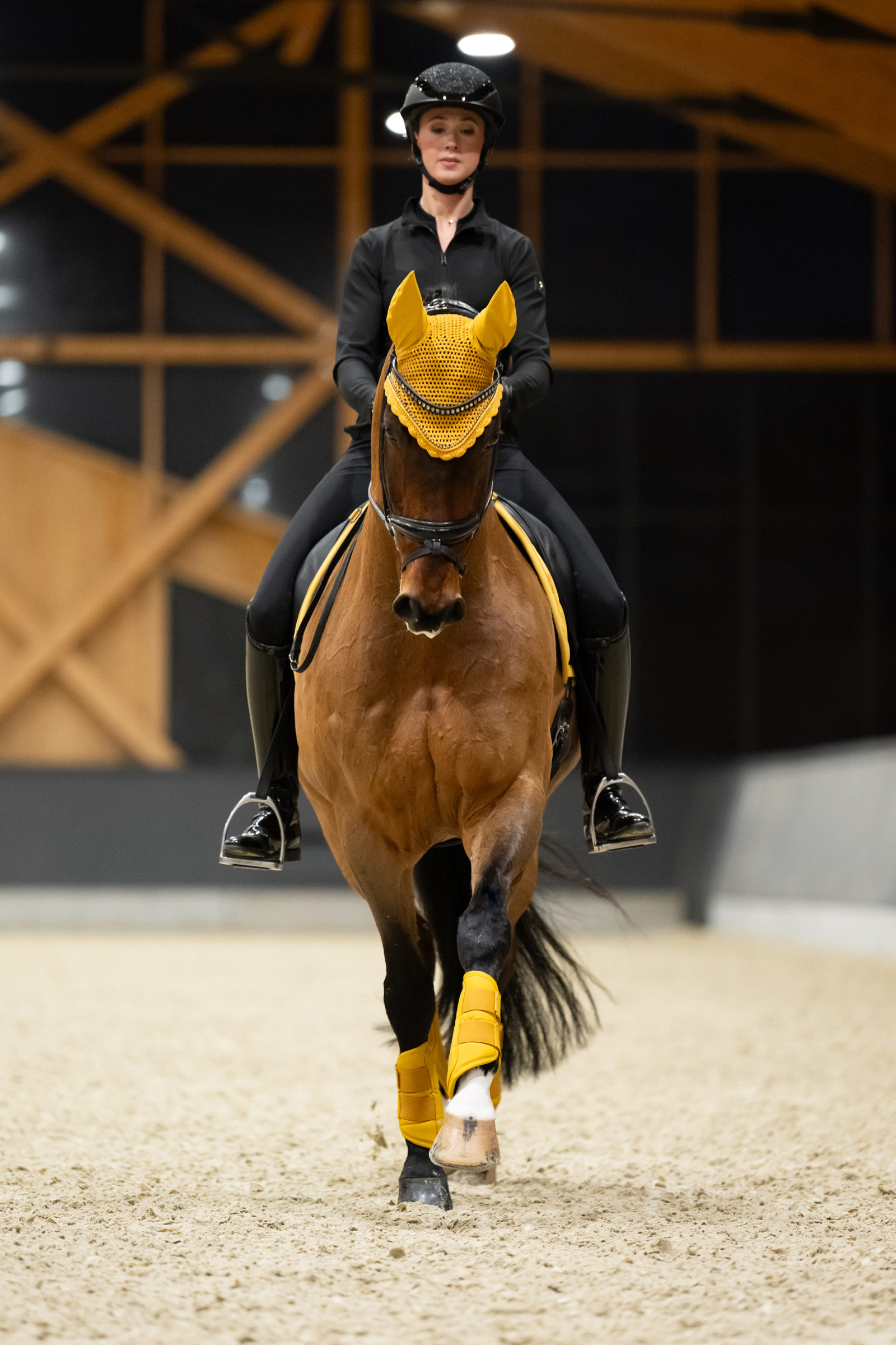 Eskadron Platinum 25 Pearls Orejeras caballos