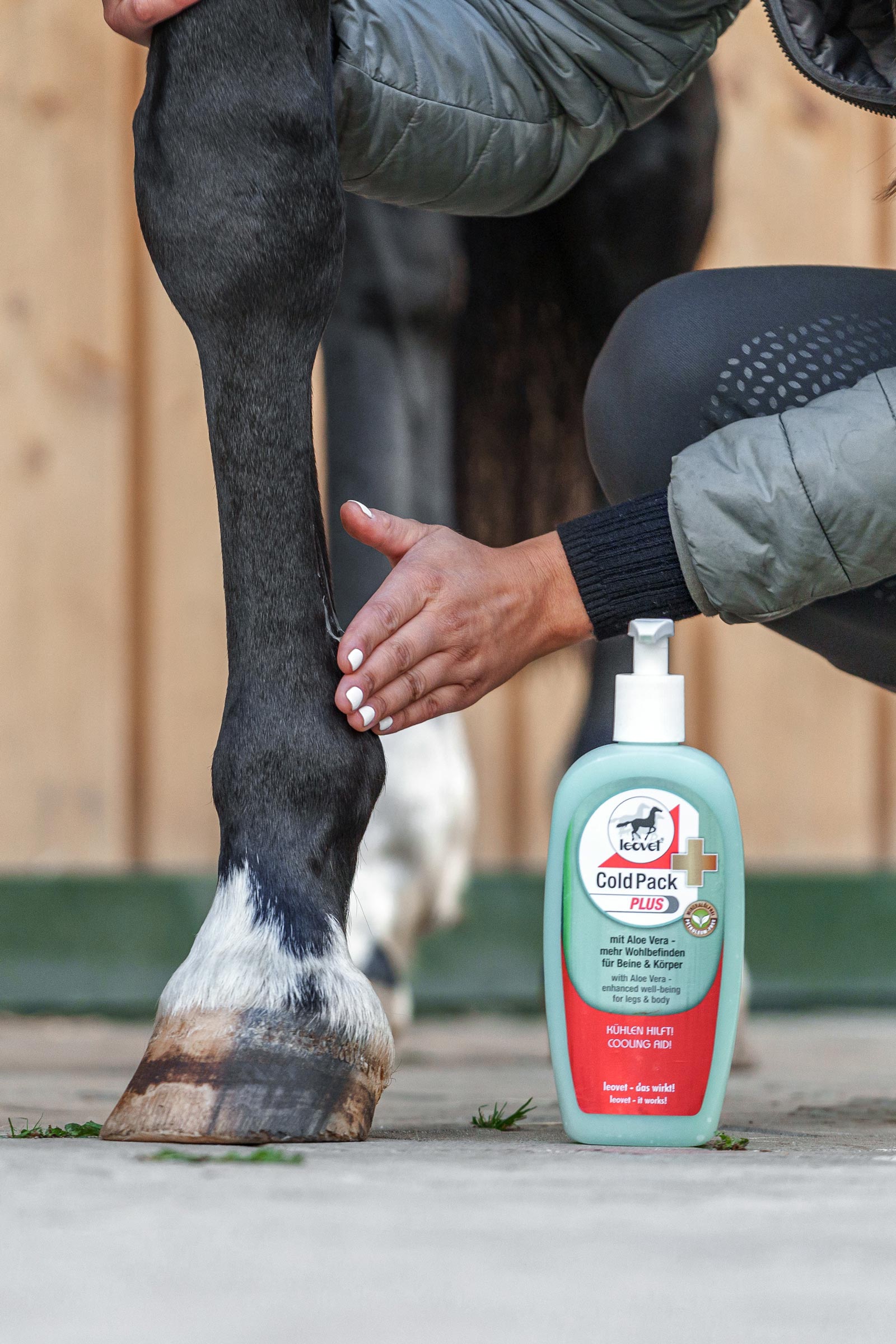 Leovet Cold Pack Plus 500ml