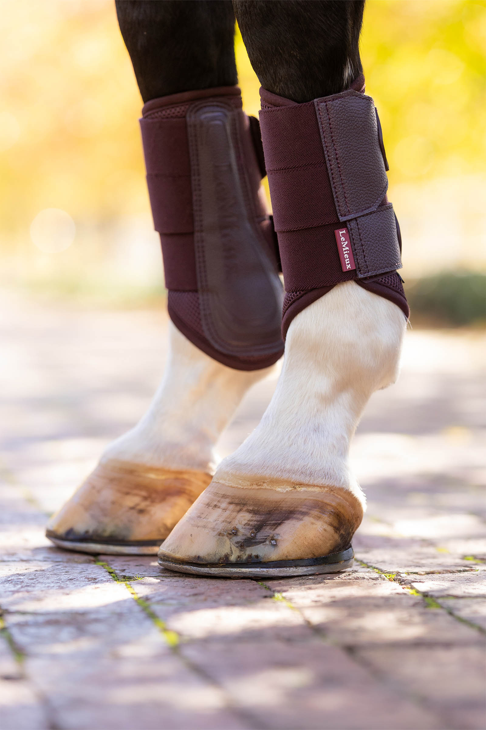 LeMieux Arika Mesh protectores doma