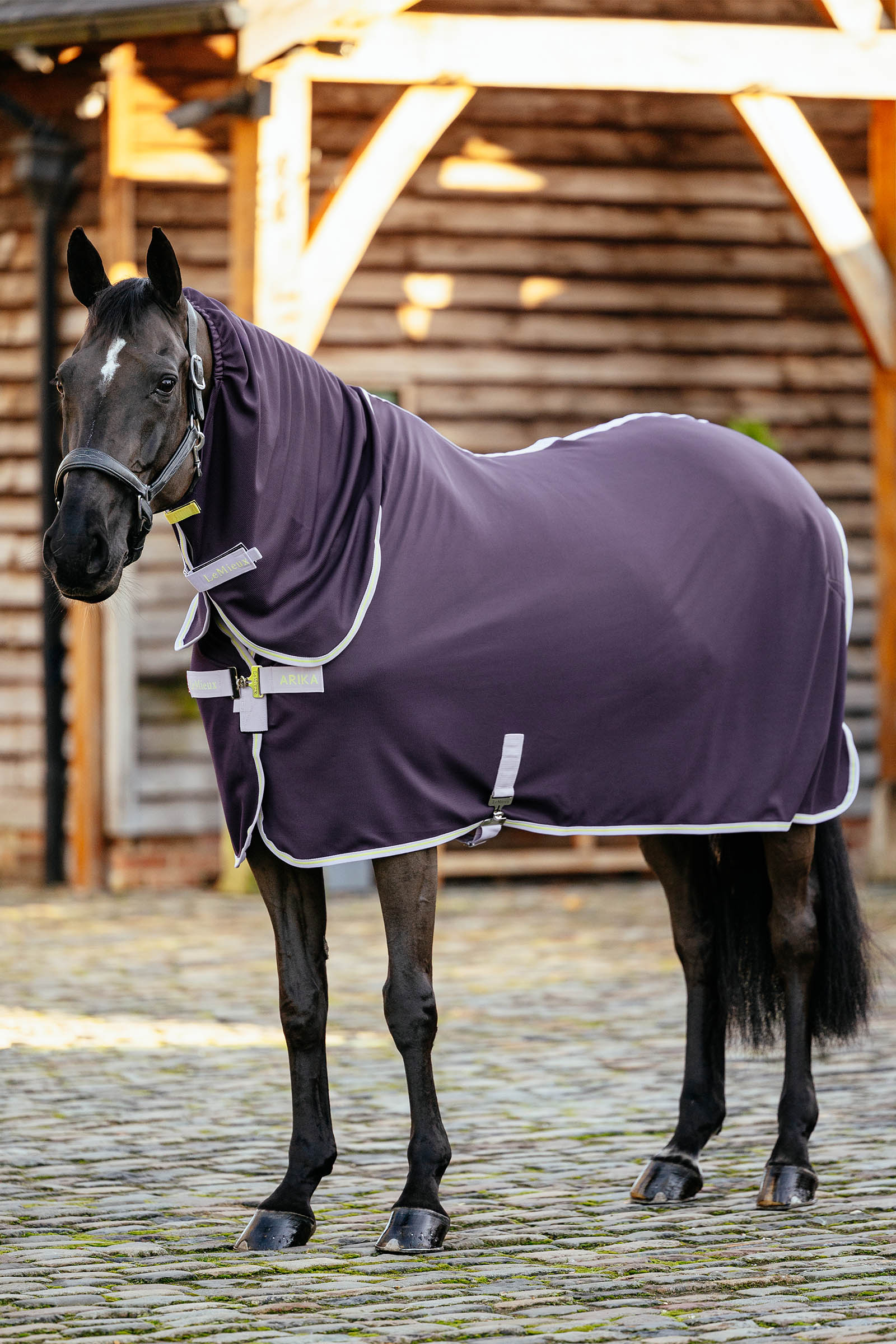 Juniper LeMieux Arika DryEase manta de secado