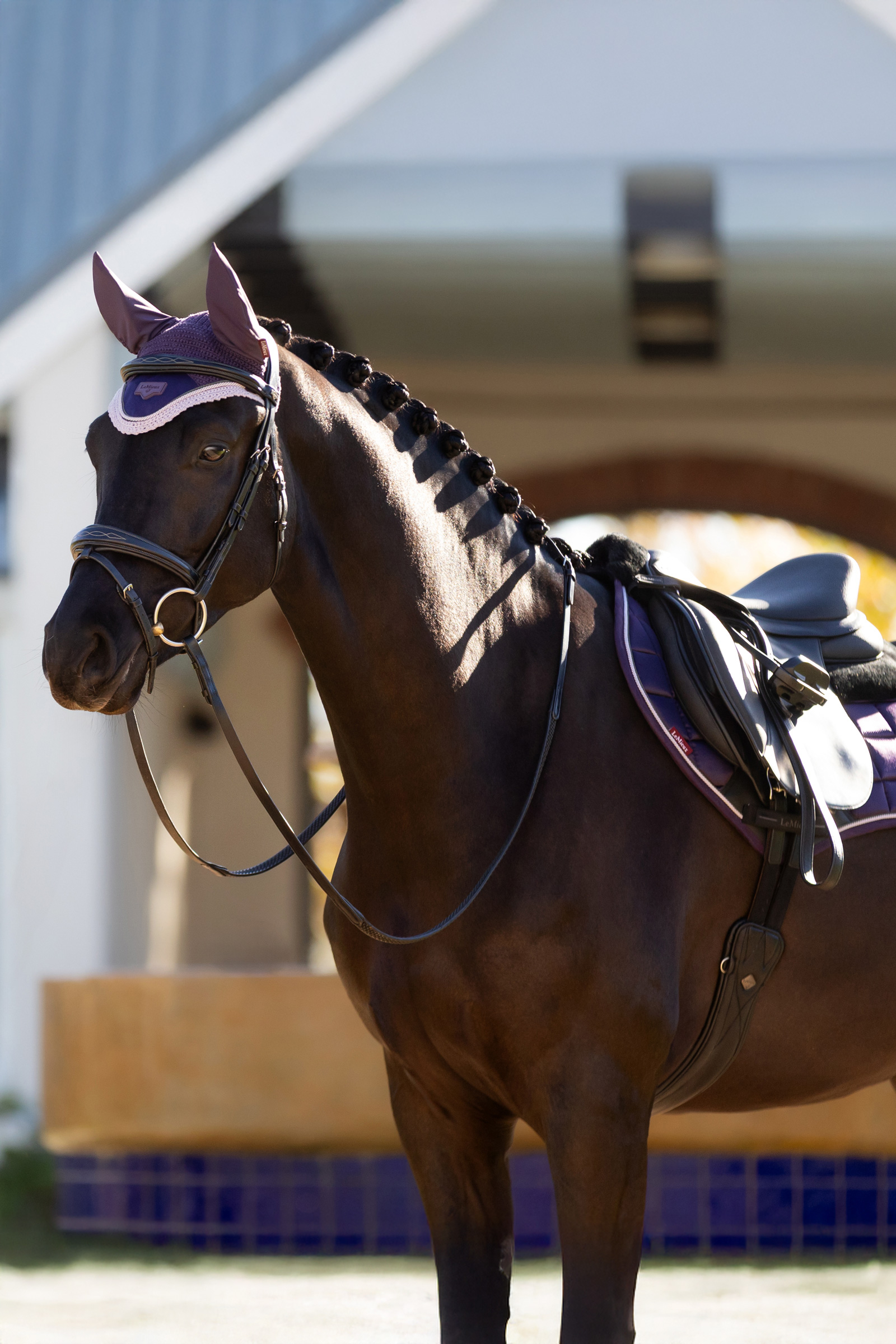 LeMieux Merino+ Loire sudadero clásico Close Contact