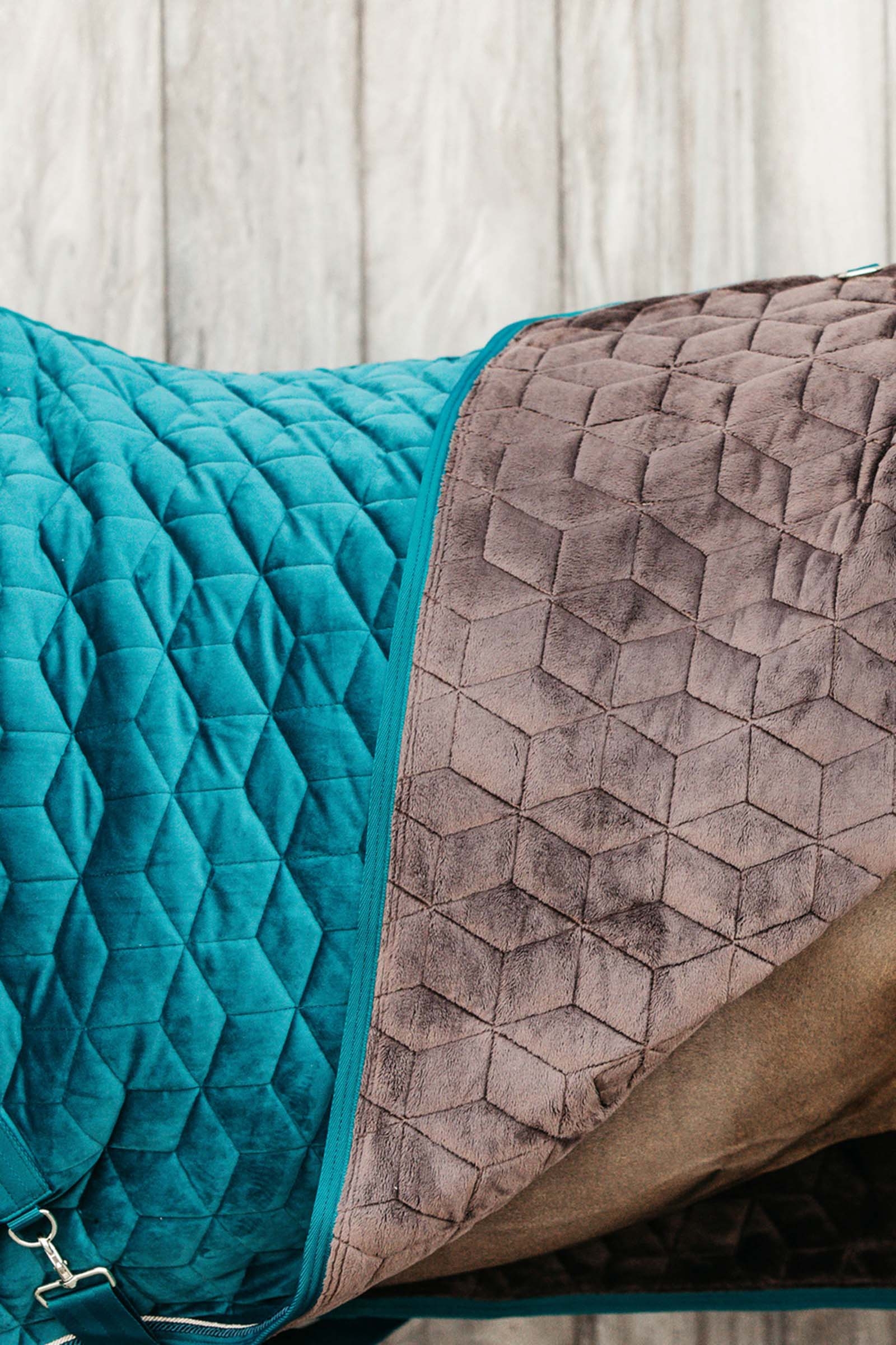 Manta de Concurso de Terciopelo Kentucky Horsewear, 160g