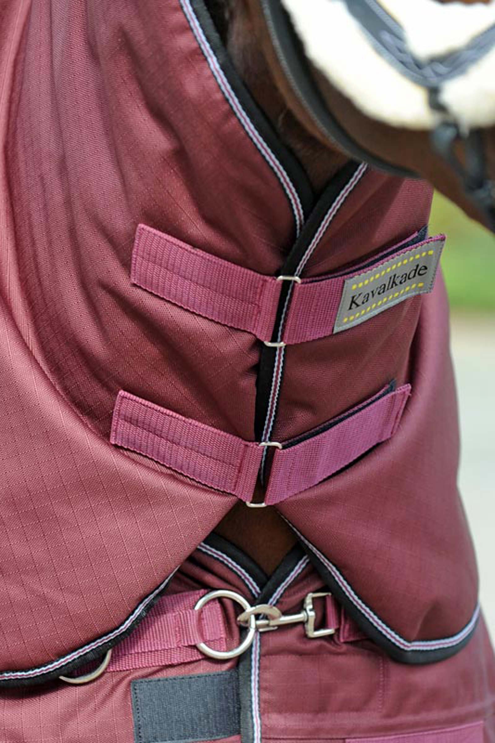 Cuello Kavalkade para Alaska IV, 100 g