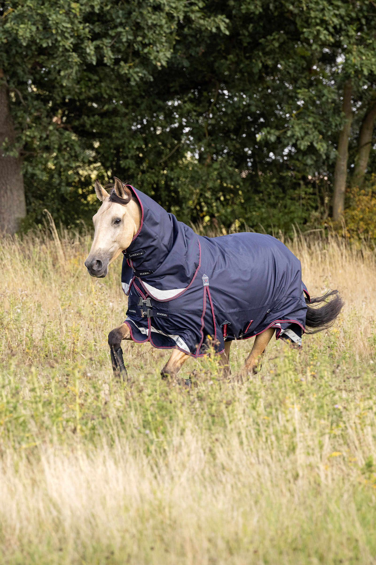 LeMieux Kudos manta de exterior ligera, 100 g