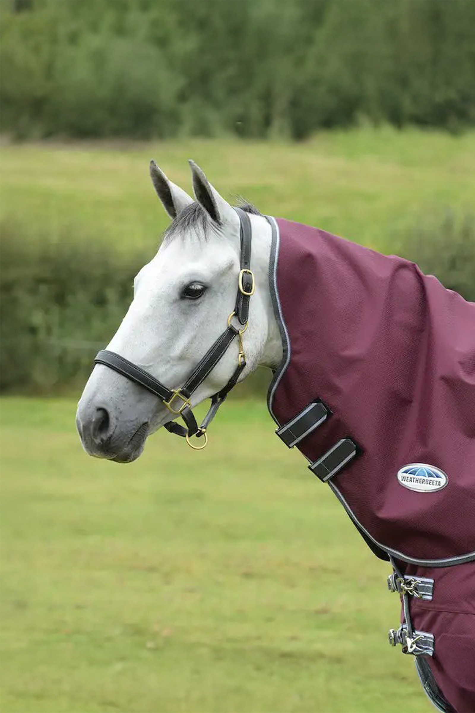 Weatherbeeta Comfitec Plus Dynamic II Medium/Lite Cubrecuello, 100g