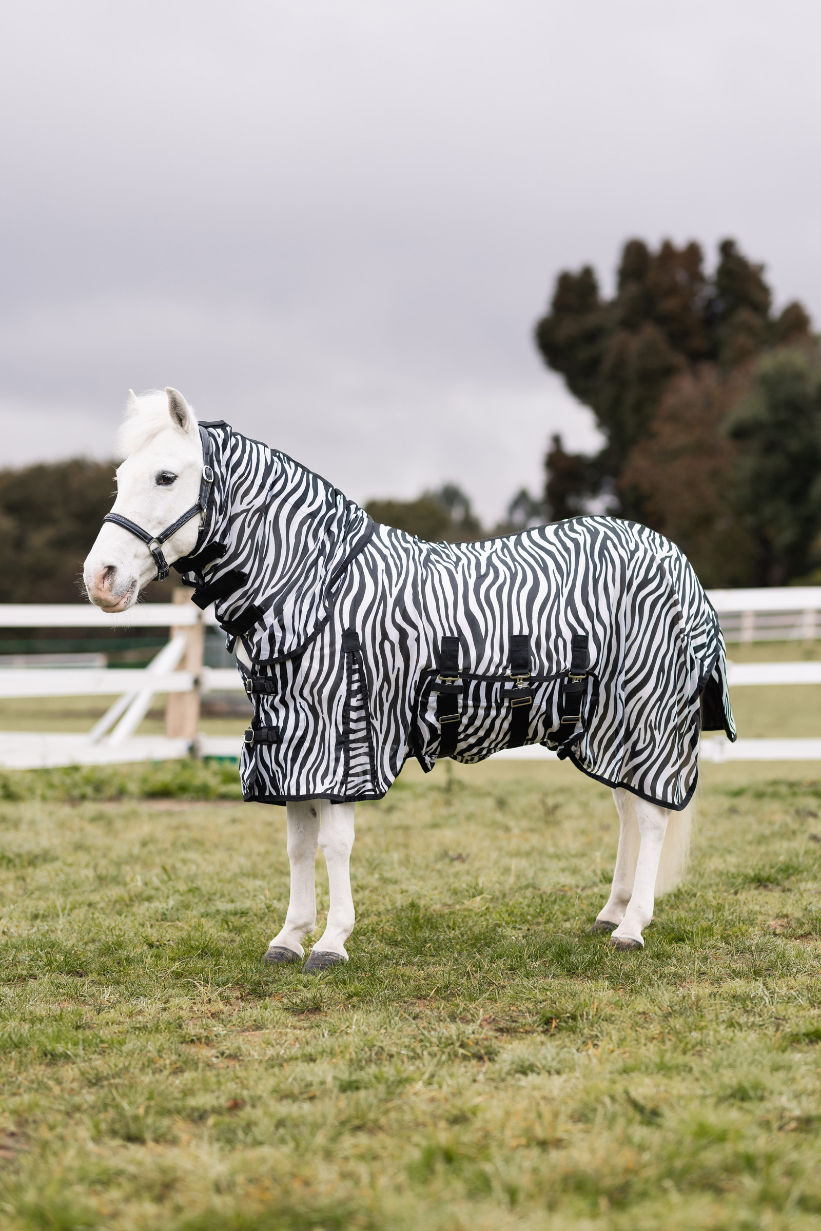 Horze Defender Pony Manta Anti-Moscas con Cubre Cuello Completo 
