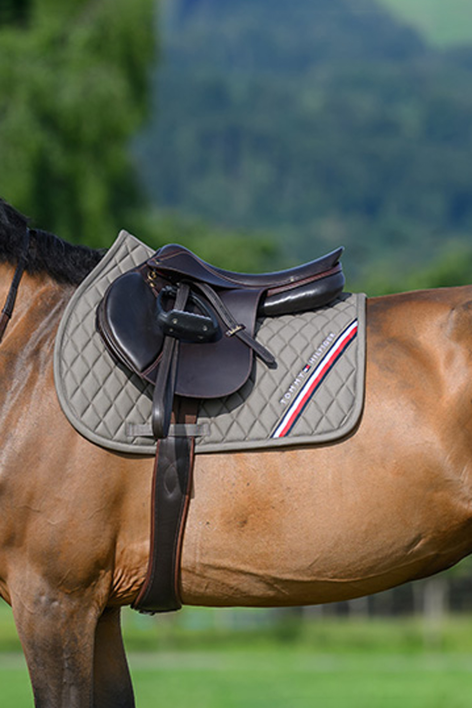 Ash Tommy Hilfiger Equestrian Stanford mantilla de salto