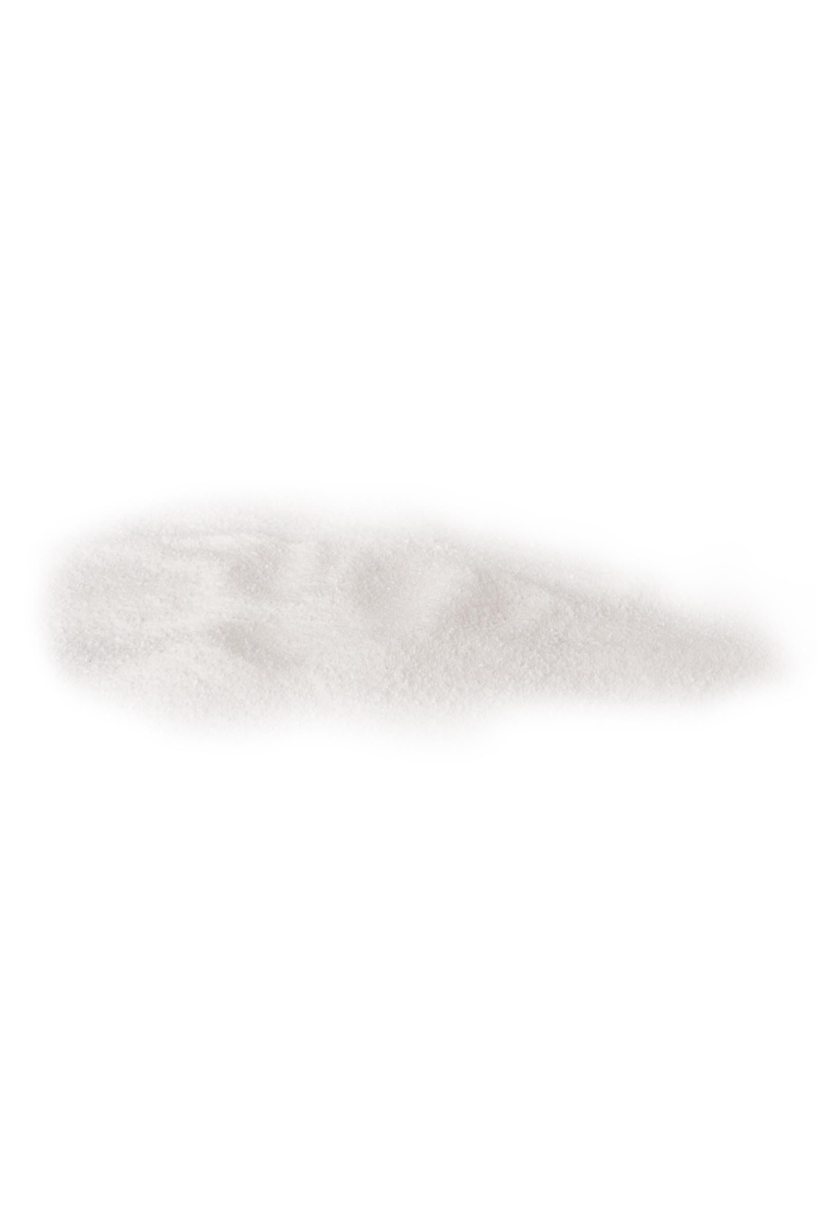 Waldhausen Polvo electrolítico, 1000g