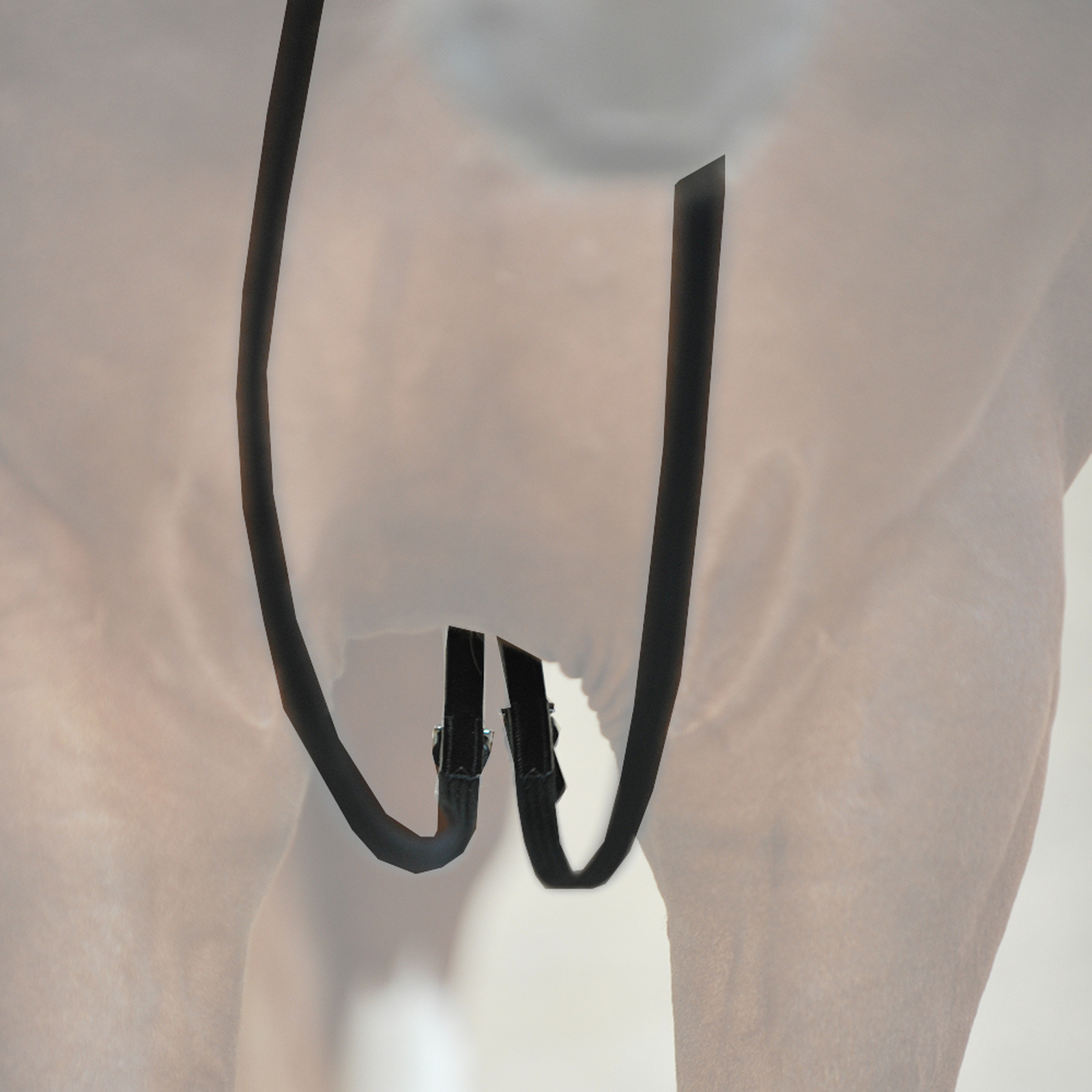 Riendas palmeadas Kavalkade