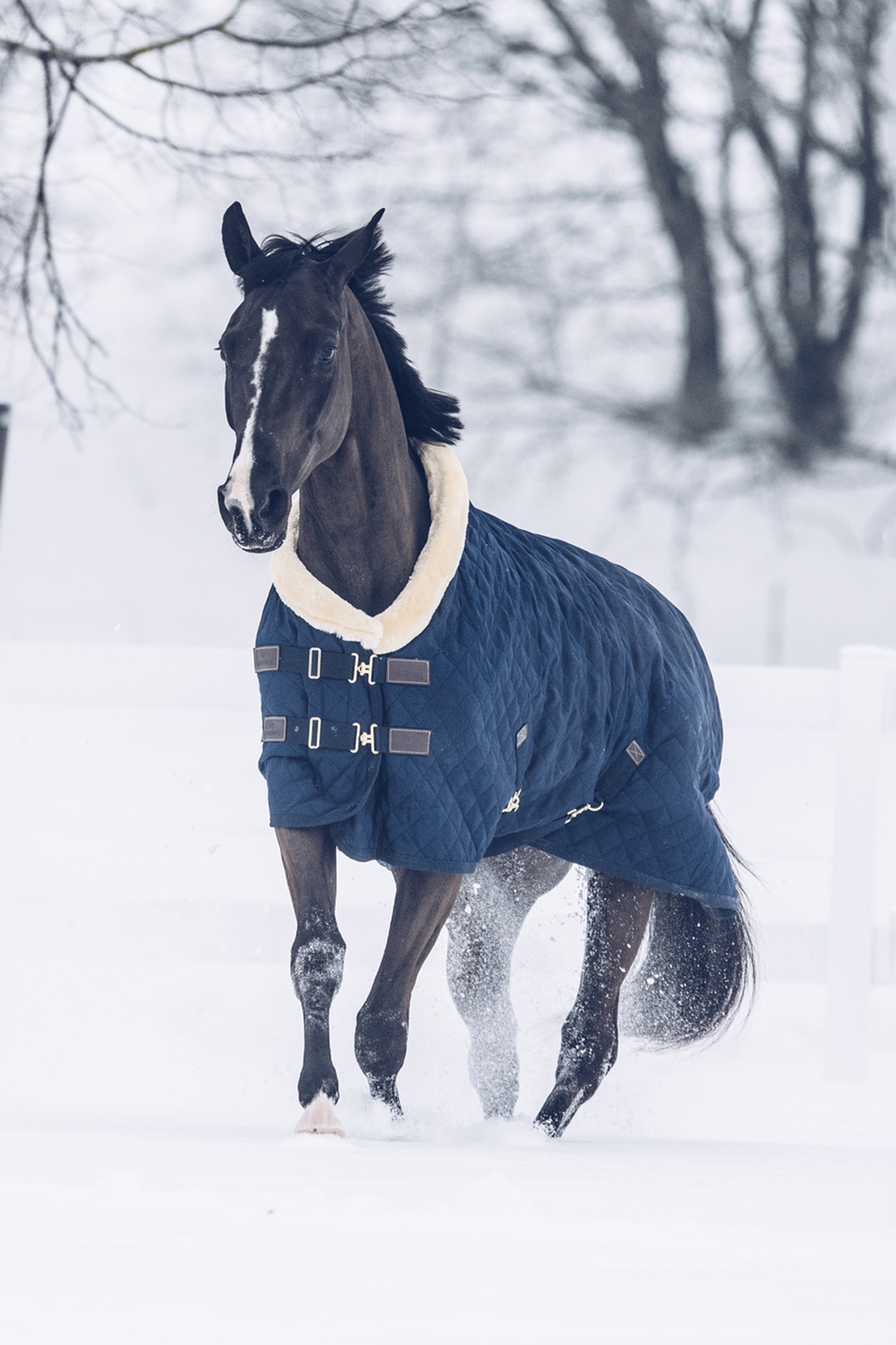 Kentucky Horsewear Show Manta, 160g