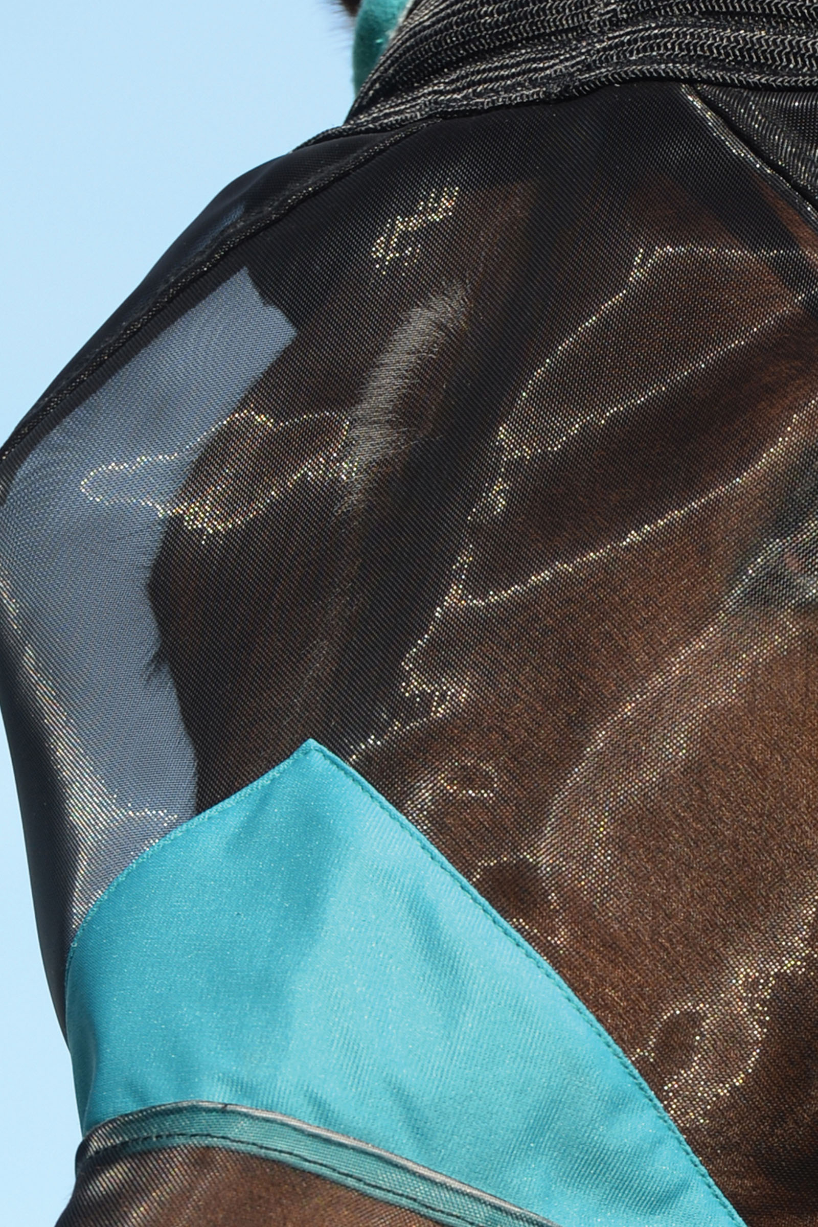 Weatherbeeta Comfitec Deluxe máscara de malla fina con orejas y flecos