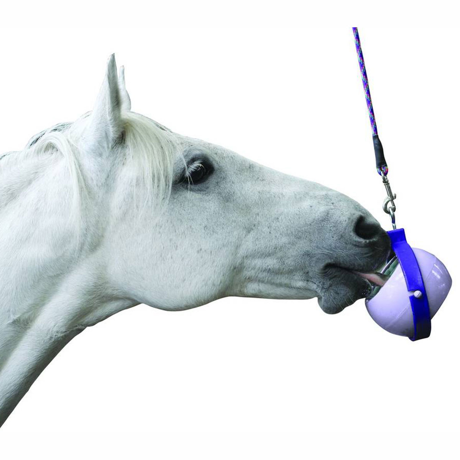 Destructor del aburrimiento de Likit