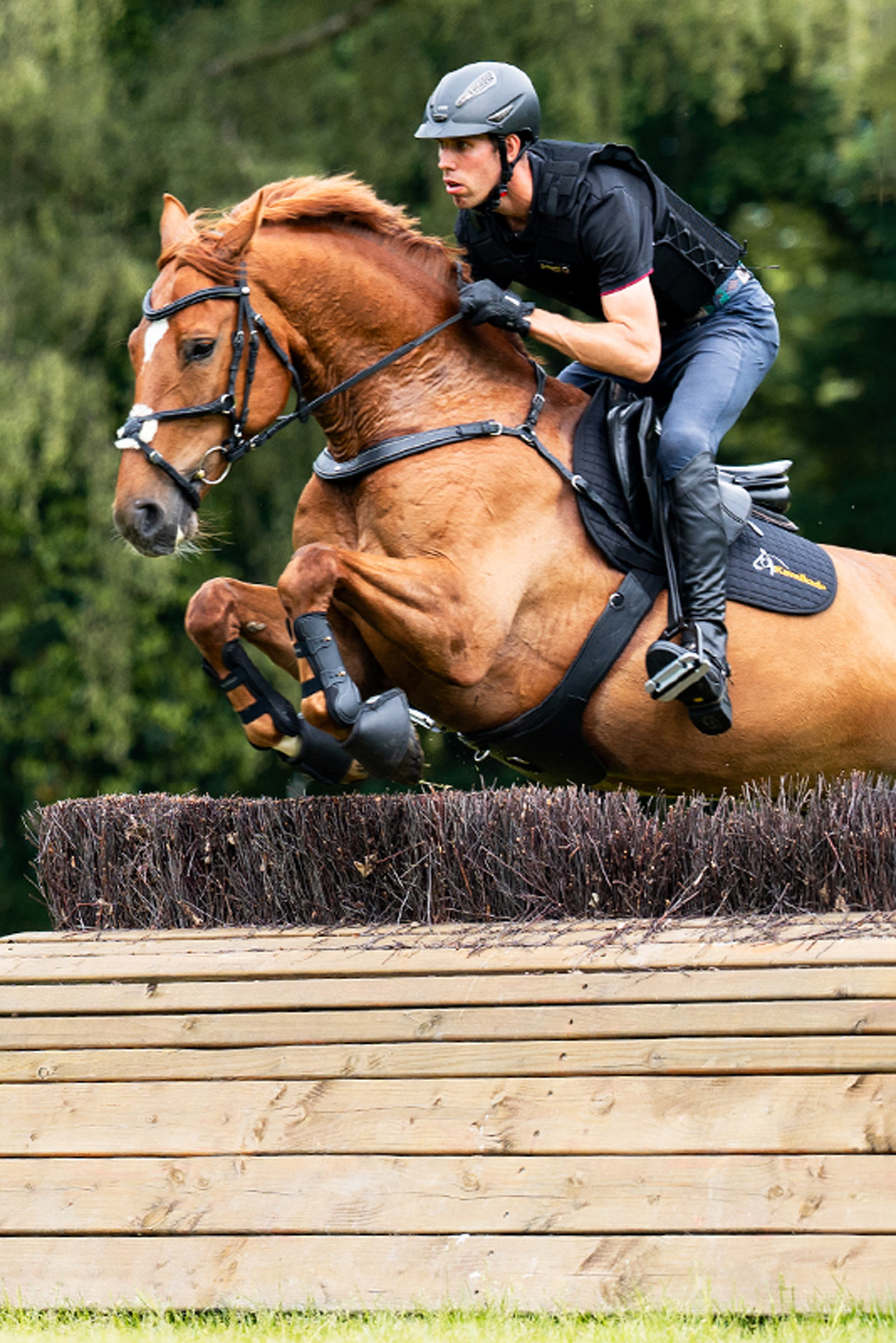 Kavalkade Jerome Pechera de 2 Puntos